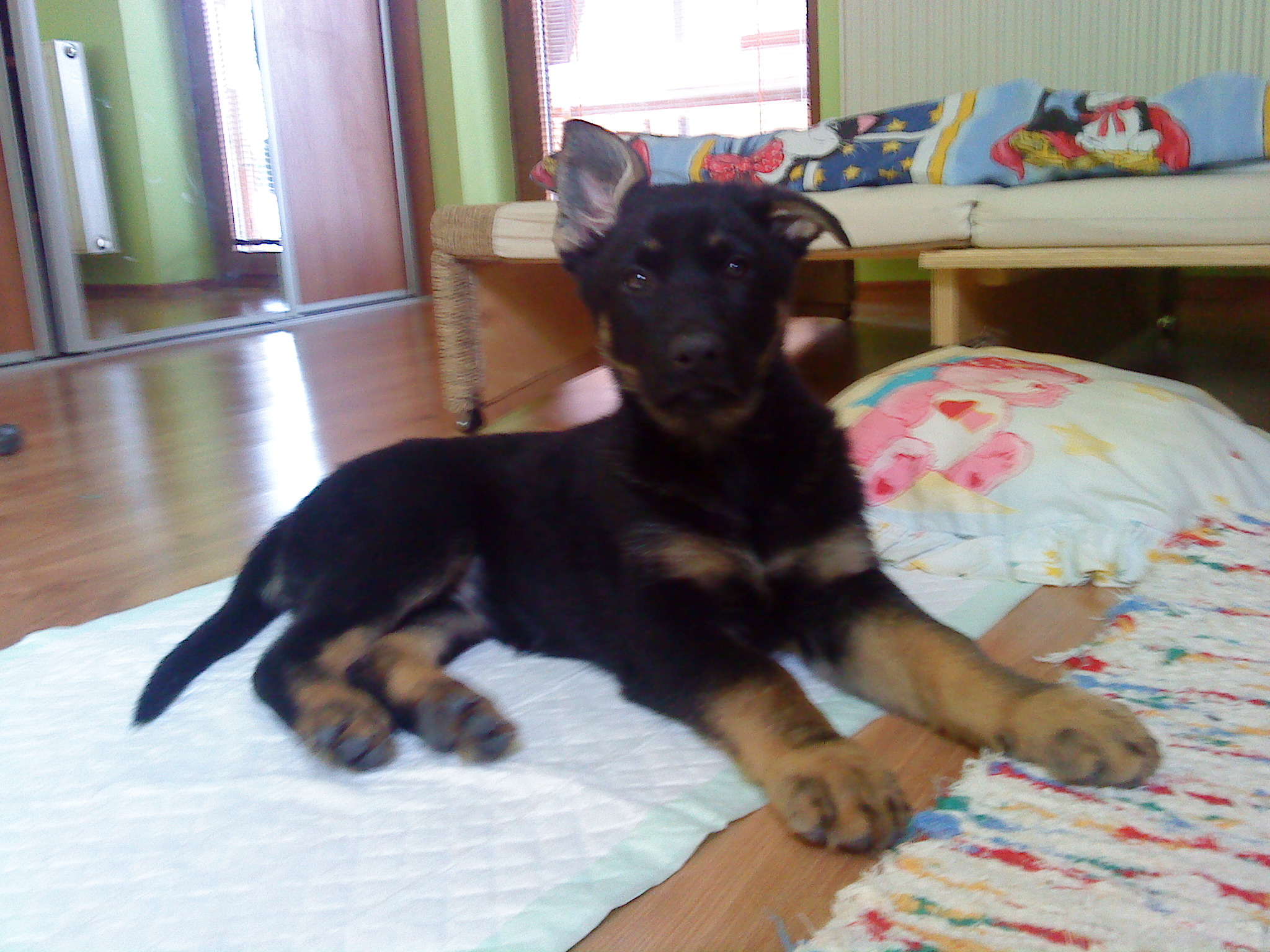 DSC01595.JPG