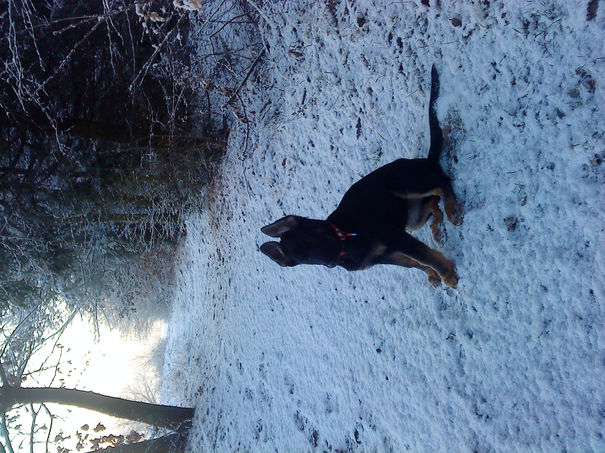 DSC01987.JPG