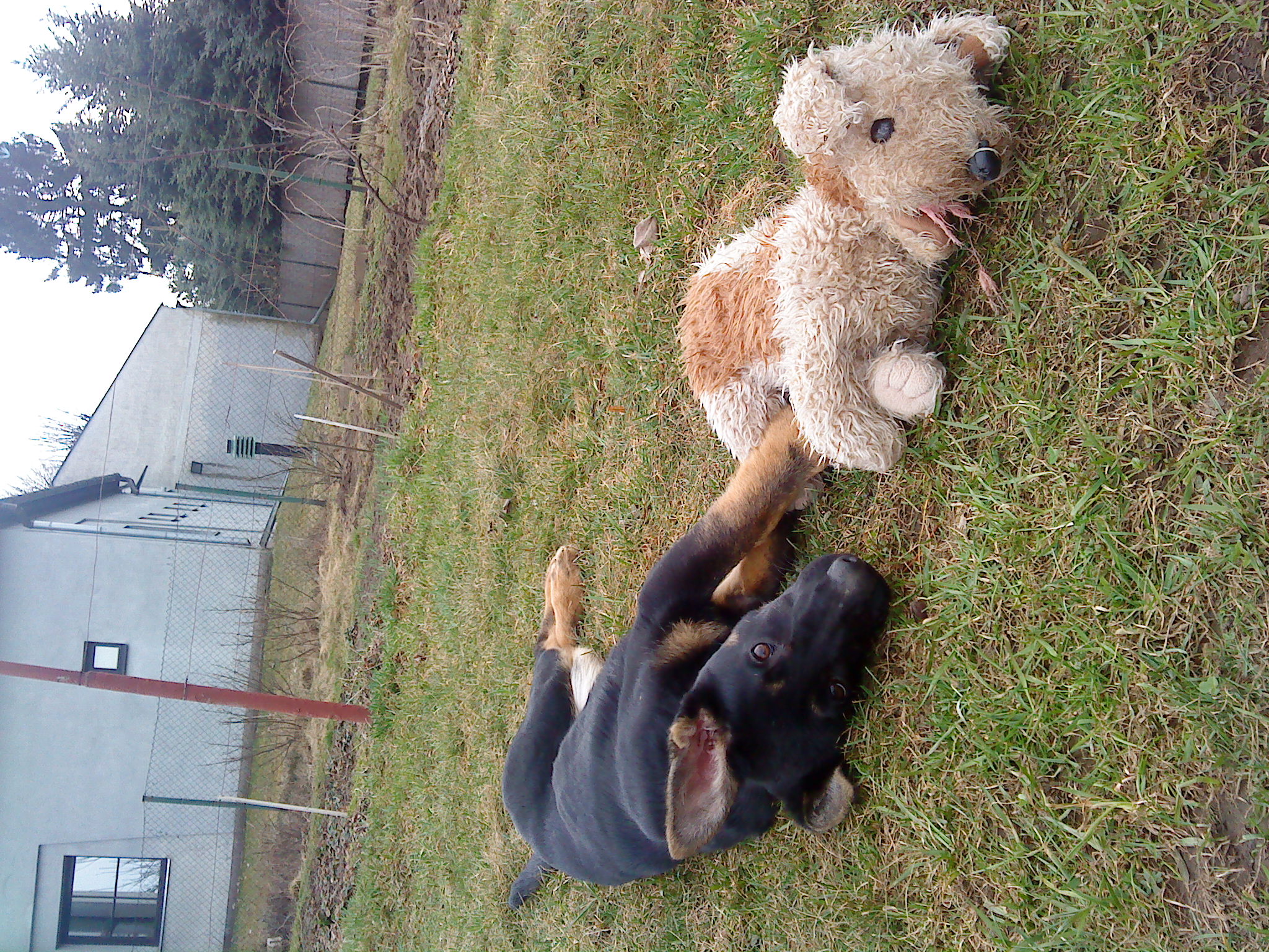 DSC02113.JPG