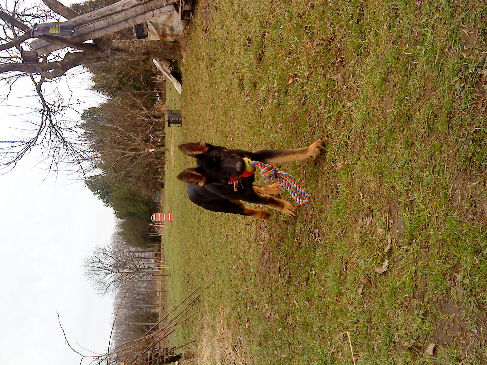 DSC02144.JPG