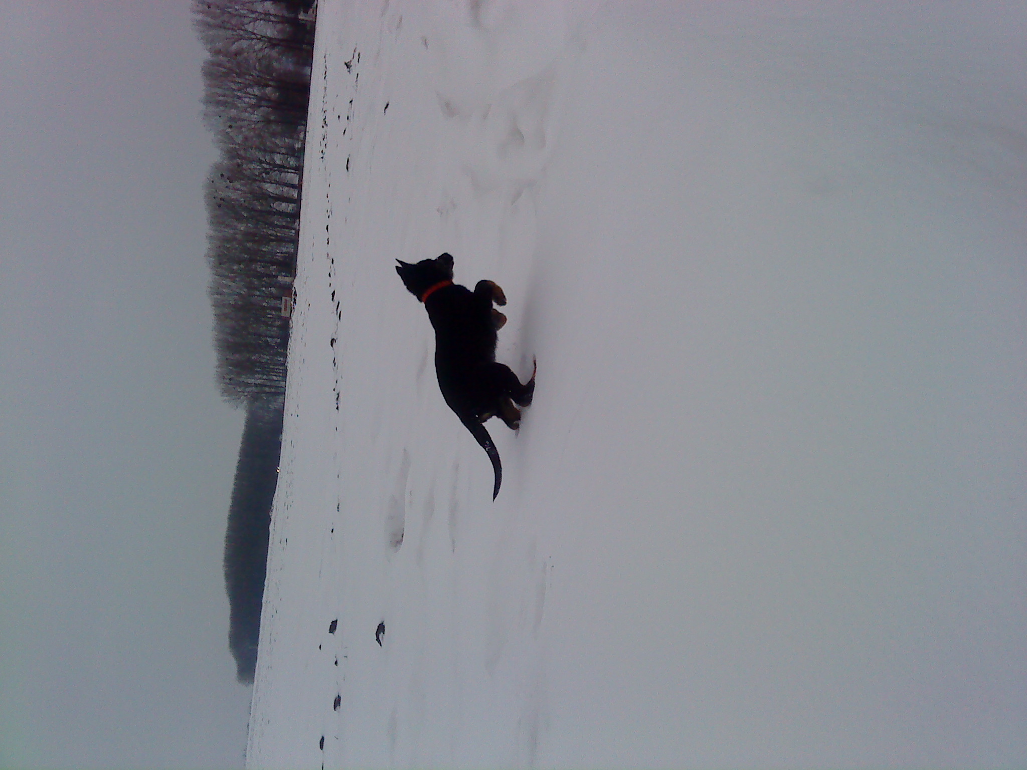 DSC01804.JPG