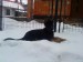 DSC01887.JPG
