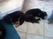 DSC01548.JPG