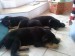DSC01554.JPG