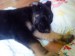 DSC01574.JPG