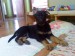 DSC01595.JPG
