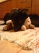 DSC01615.JPG