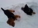 DSC01624.JPG