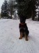 DSC01651.JPG