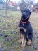 DSC01944.JPG