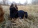 DSC01950.JPG