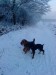 DSC01976.JPG