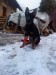 DSC02025.JPG