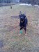 DSC02037.JPG