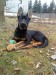 DSC02045.JPG