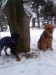 DSC01744.JPG