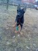 DSC02099.JPG