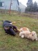 DSC02113.JPG