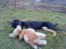 DSC02115.JPG