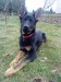 DSC02126.JPG