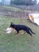 DSC02133.JPG