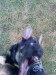DSC02139.JPG