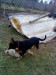 DSC02143.JPG