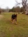 DSC02144.JPG