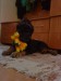 DSC01765.JPG