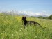 DSC01302.JPG
